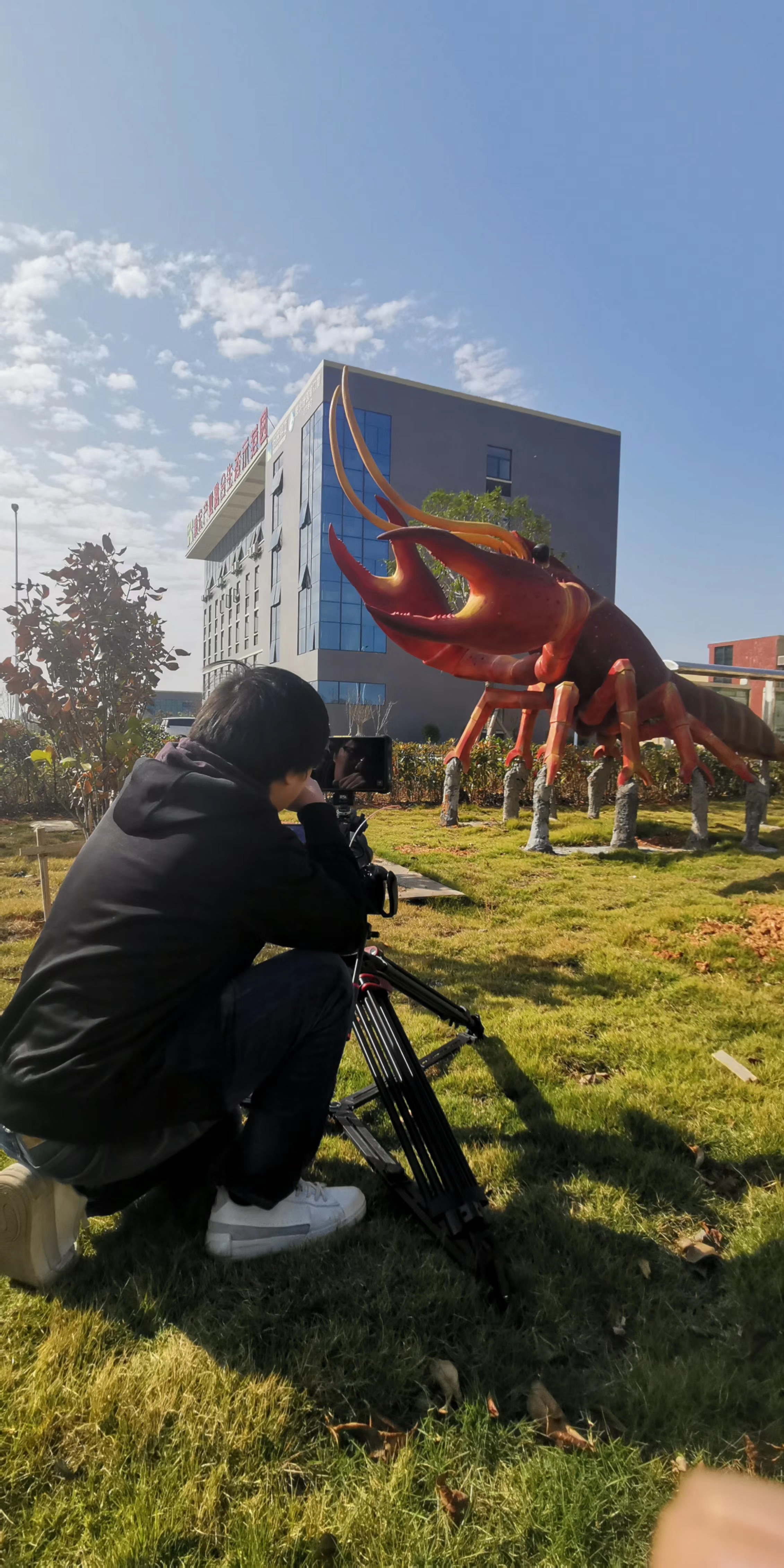 康宏粮油大米,康宏粮油食品