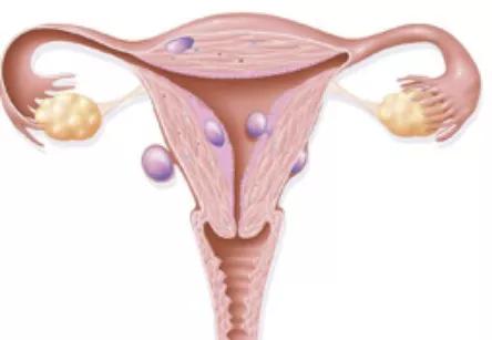 为什么怀个孕就这么不容易,为啥怀男孩难