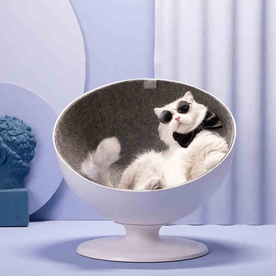 猫最好用什么猫窝,各种猫窝的视频大全