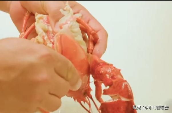 大龙虾虾头哪里不能吃,龙虾虾头什么地方不能吃