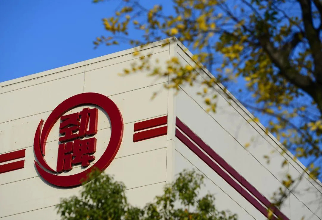 钟睒睒为什么这么牛,钟野子和钟睒睒是同一个人吗