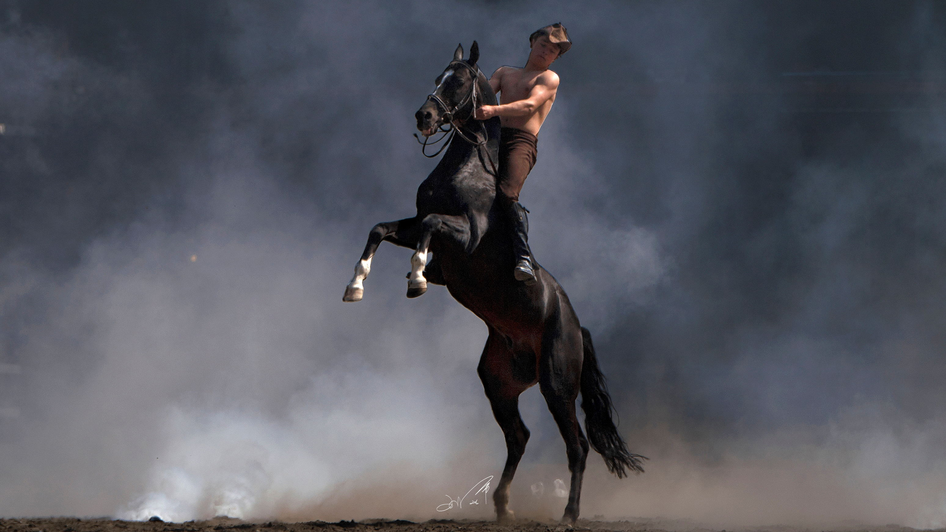 骏马训练方法视频,骏马的训练