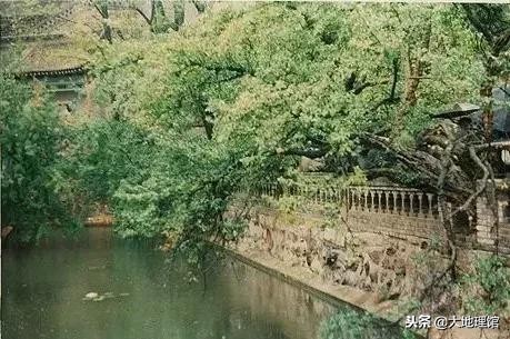 石榴传奇,石榴的传奇故事