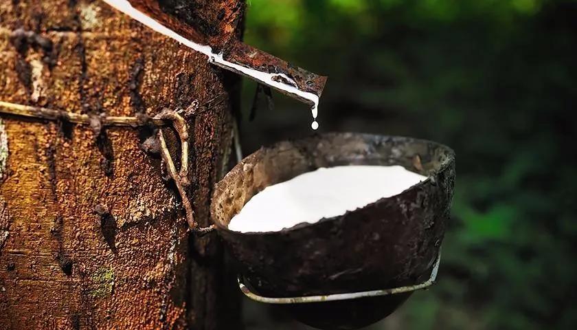 农业概况,中国农业基本现状