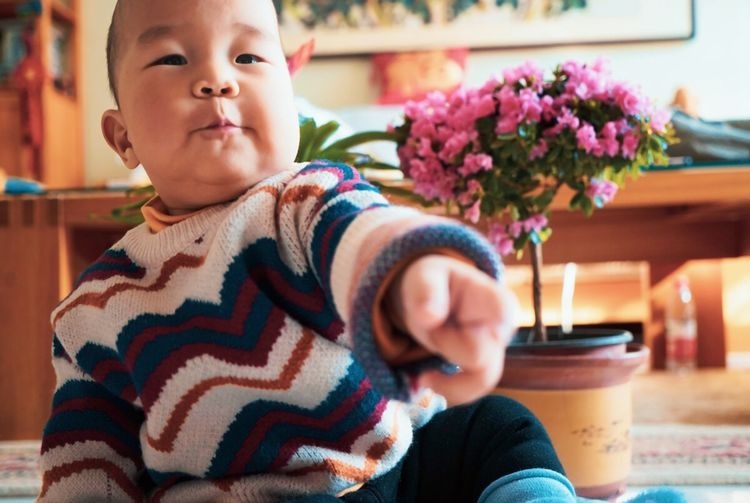 宝宝啥时候学走路最好?不早于这个月份就行,否则影响生长发育