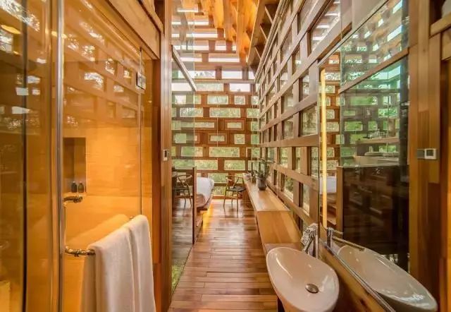 真正的森林树屋,这些树屋满足你对森林的所有幻想