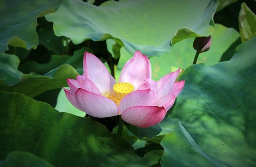 立德立功立言经典语录,夫立德立功立言原文