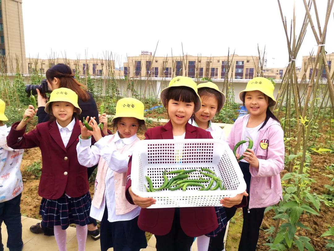 重庆渝北区最新学校,重庆渝北试点学校