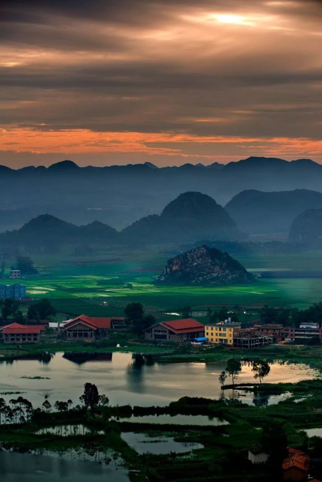 什么是云南品种,什么是云南的特色