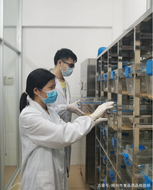 梧州市食品药品检验所在哪里,梧州市食品药品检验所电话