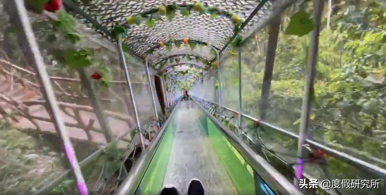 端午节适合去哪里玩广州,端午广州旅游的地方