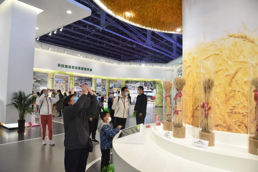 观展|当恒银期货的“金融大咖”们遇见了一个“硬核河北”