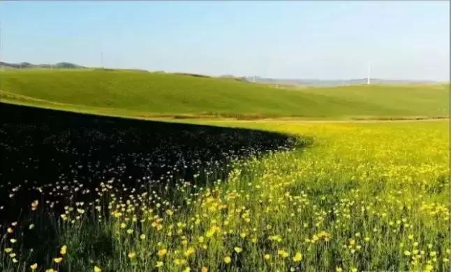 通辽好玩的景点排行榜,通辽霍林河景色