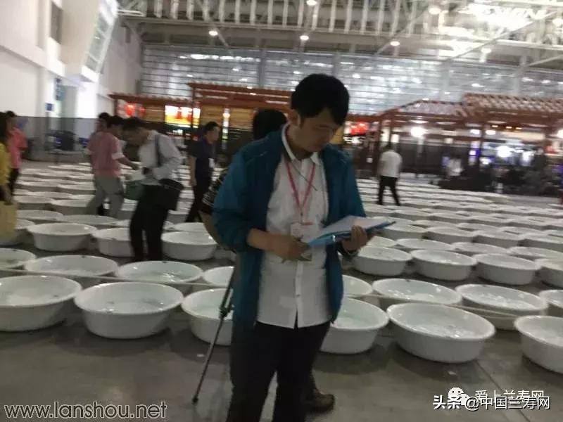 世界金鱼大赛在福州举行,2019中国世界金鱼大赛