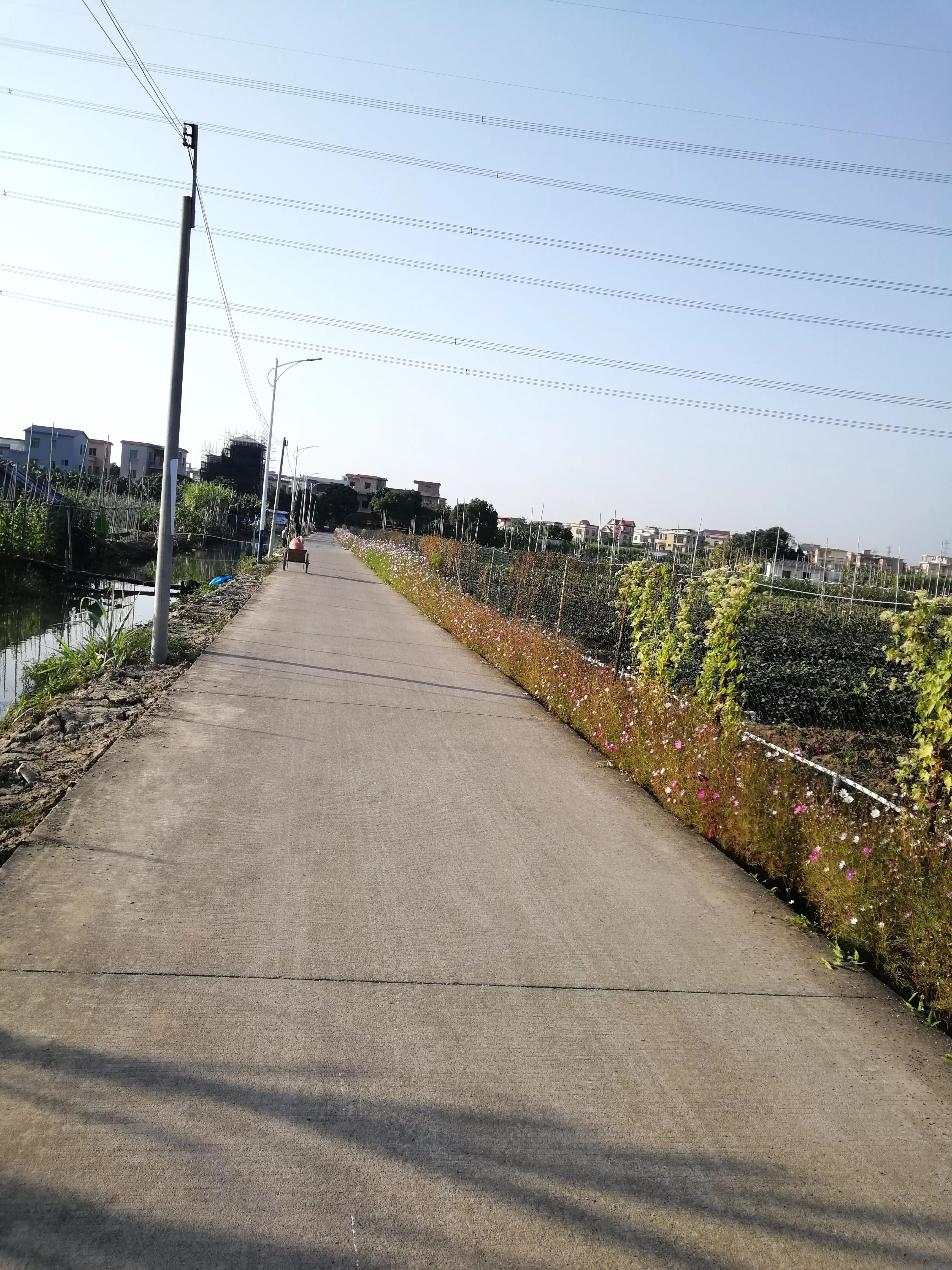 地铁4号线美丽乡村东涌,地铁4号线沿路风景