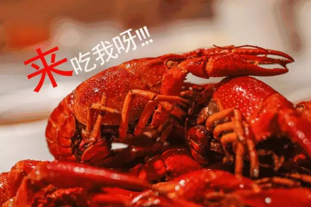 吃虾真的有禁忌吗,虾能随便吃吗