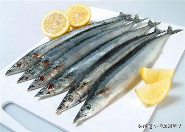 市场上常见的鱼有哪几种,八种好养的野生鱼