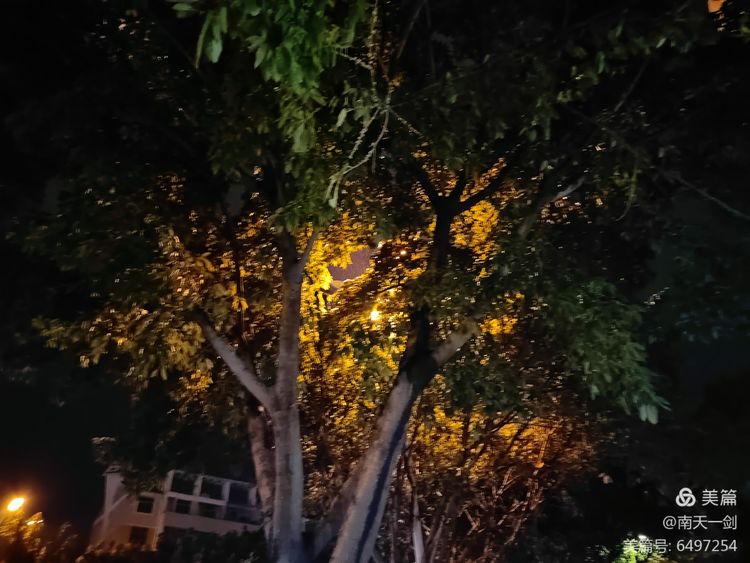 霜降粤语版,霜降粤语歌曲