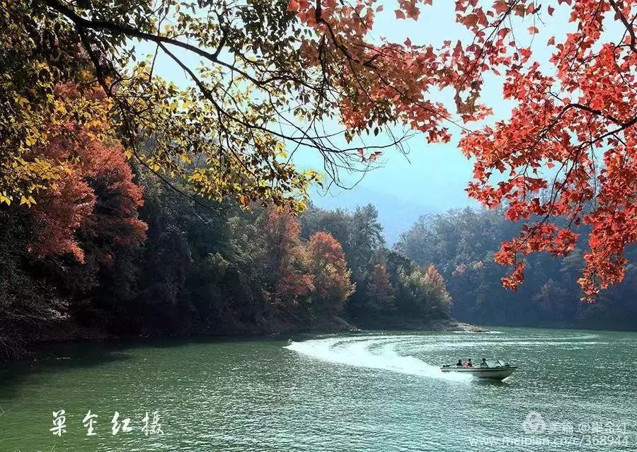 必打卡的宝藏公园,这些宝藏打卡地分分钟让人美到