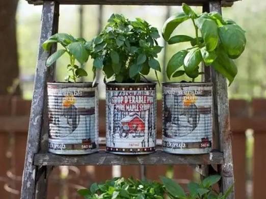 家里花瓶插花放点什么,创意养花花瓶