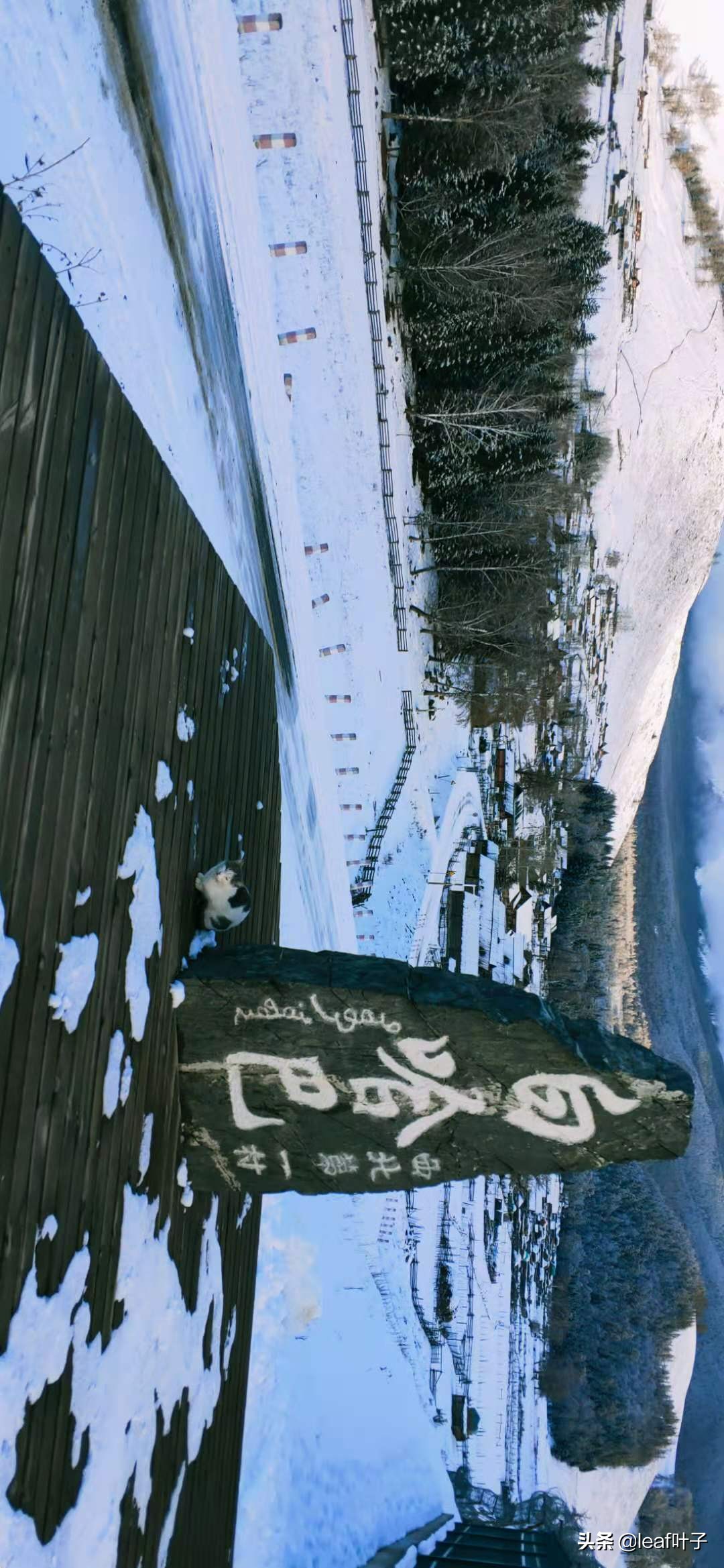 冬季*疆新**喀纳斯打卡必做list