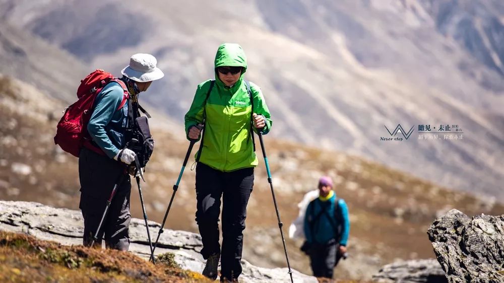 高山低谷的感悟,高山之巅的感悟