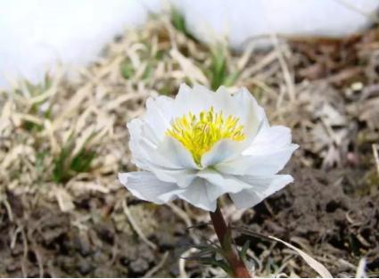 看起来很贵其实便宜的东西,看起来就很贵的好物