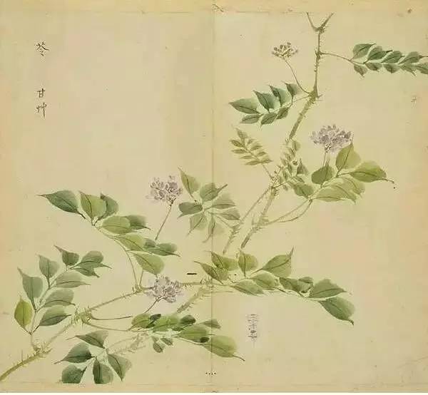 惊艳千年的古诗词合集,五千年来最美的20首诗