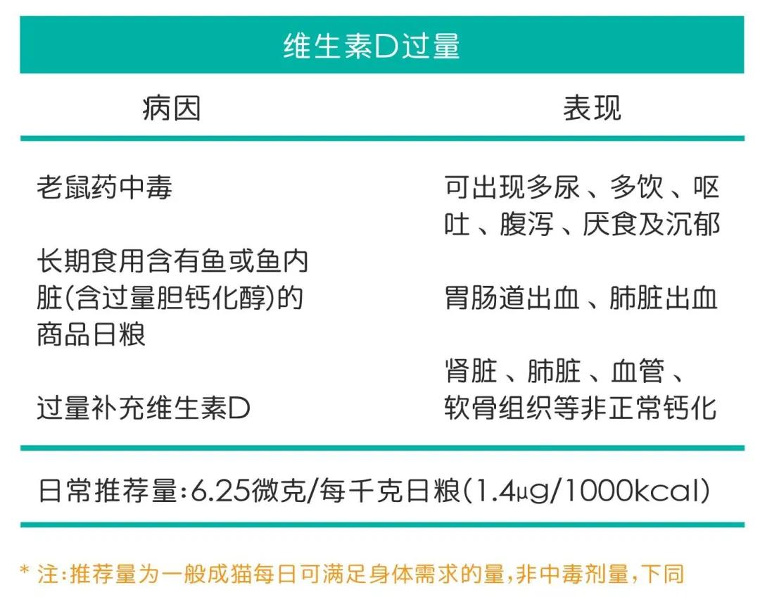 补维生素b猫咪不容易得猫癣,食补补充猫咪的营养
