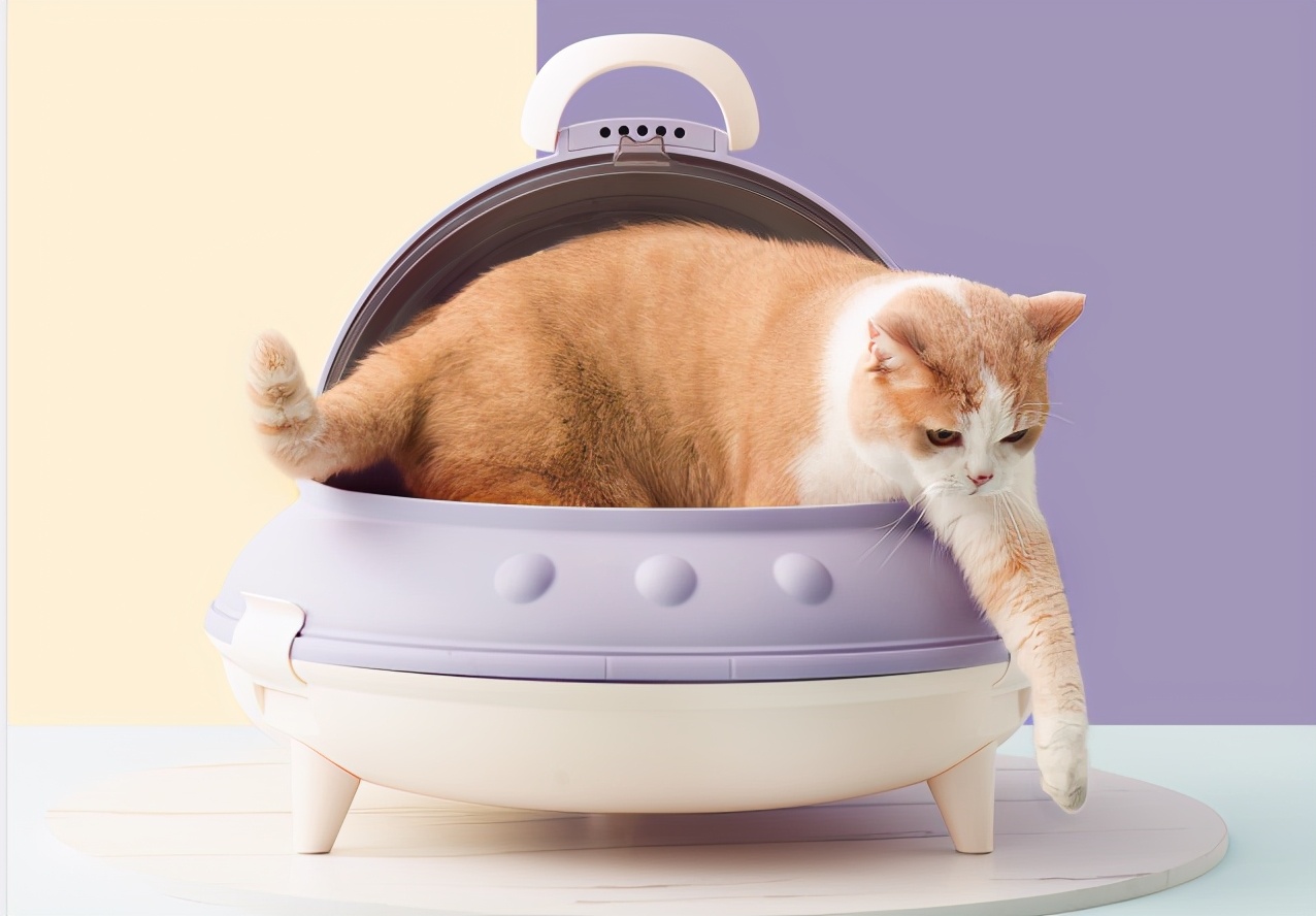 养猫养狗毛会被吸入肺里吗,家里养猫猫的毛会吸到肺里吗