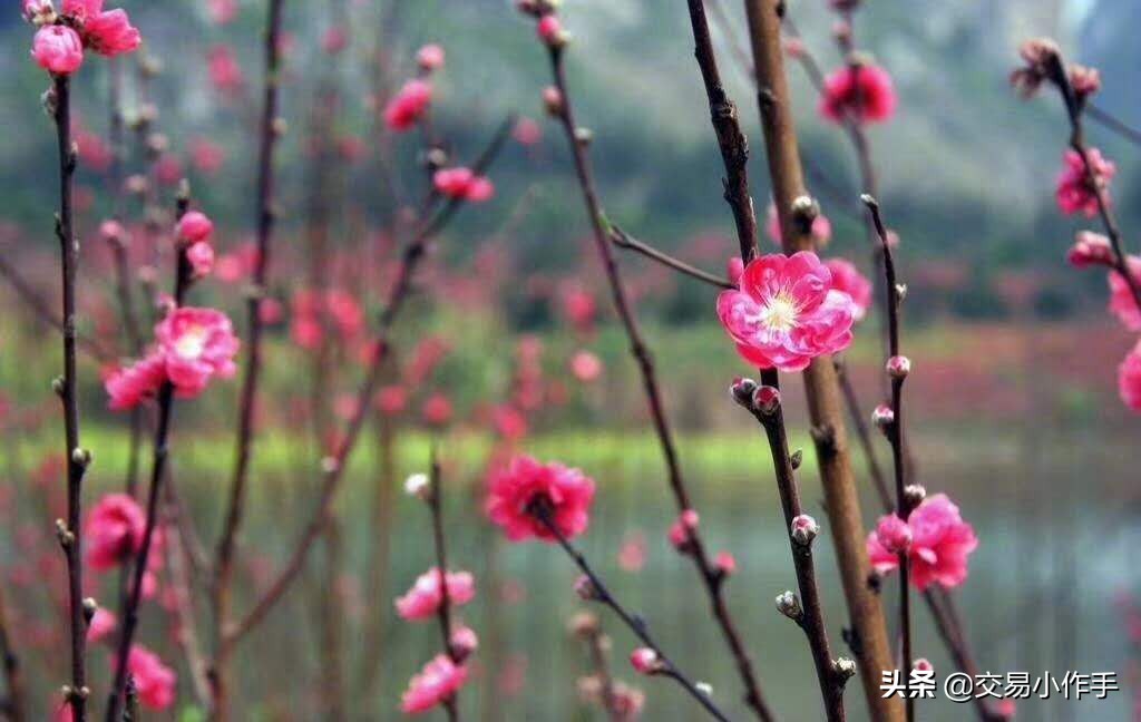 期货交易之道口诀,期货交易之道贵在思考