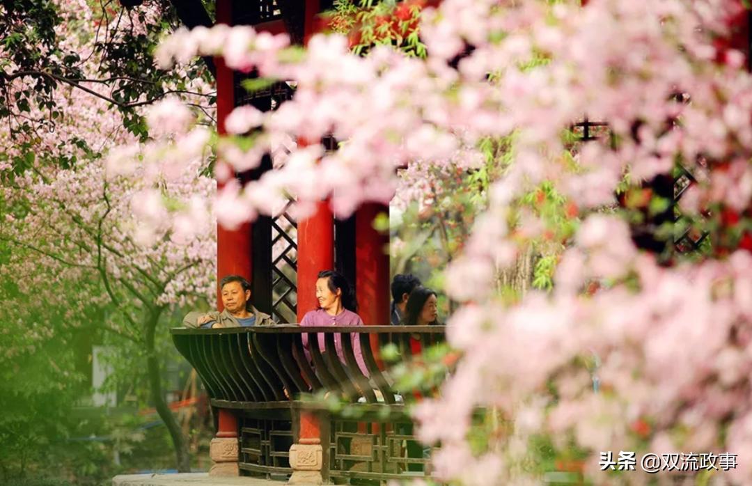 成都双流最美公园,公园城市的美