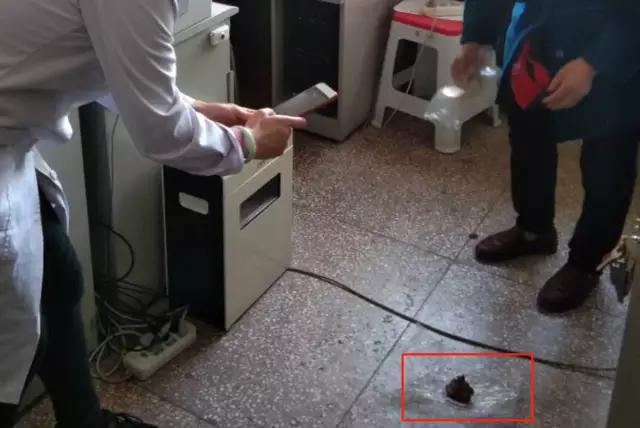 山西：大同一女子手术近5年后阴道取出纱布，医院建议其走司法途径