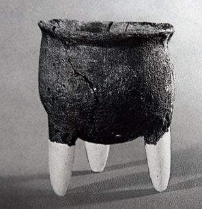 人类的祖先是怎样生活的60字,人类祖先最早发明的房子