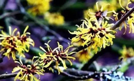 火山泥真是宝，油皮女孩的毛孔疏通剂，让贵妇霜3秒吃透锁水8倍