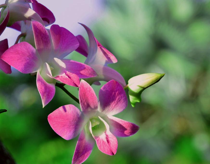 做人留三分说话留七分,话留三分软人留七分暖是什么意思