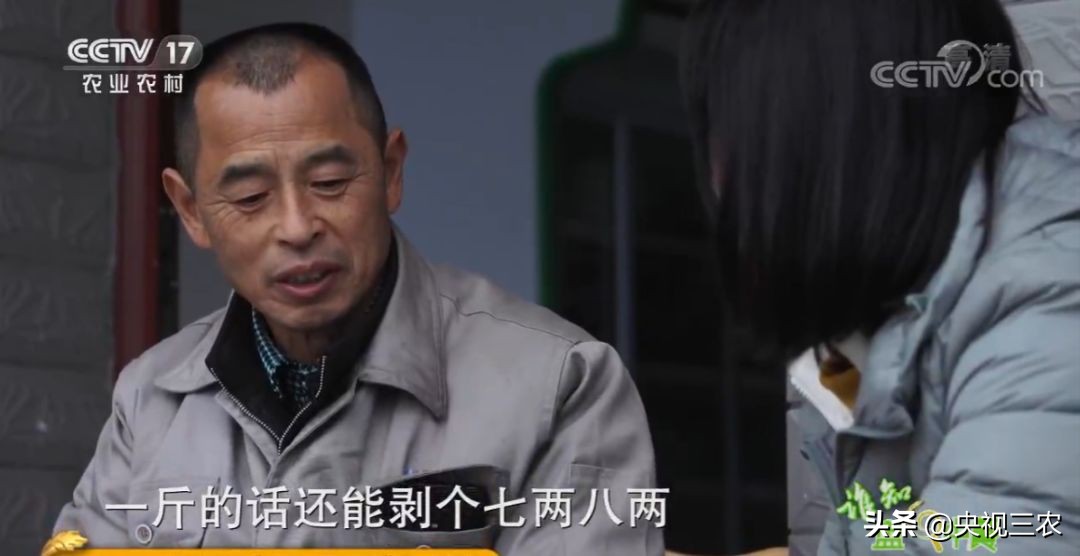 五星级大厨教你冬笋怎么没有涩味,冬笋去除涩味凉水下锅还是开水