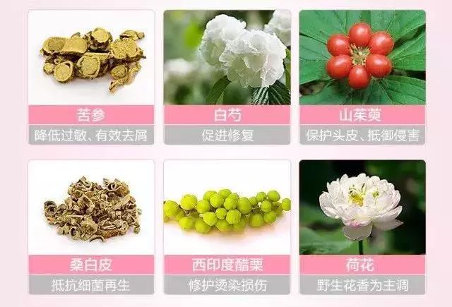 LGReEn润膏洗发水全线科普