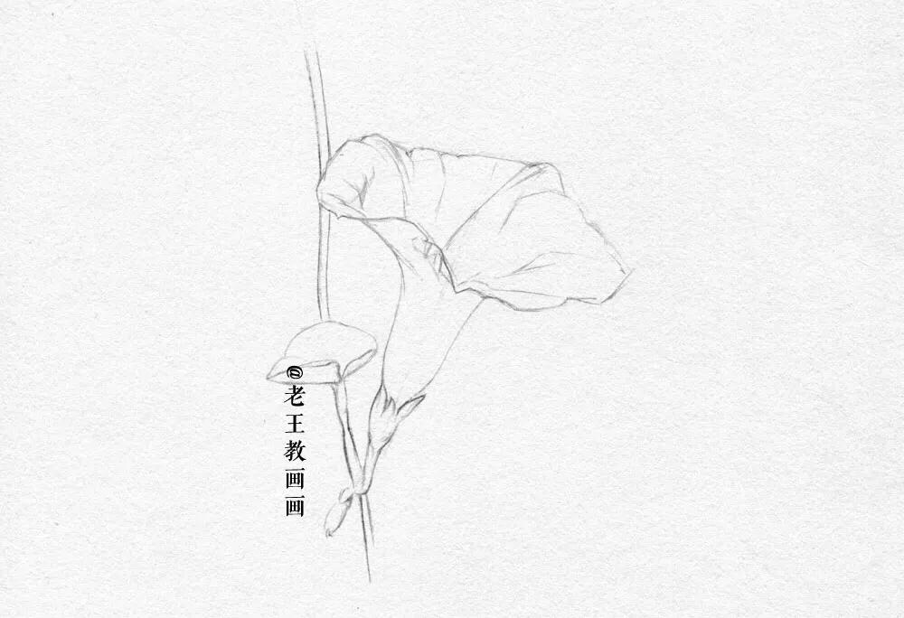 素描小白都在画什么,新手小白画素描人物