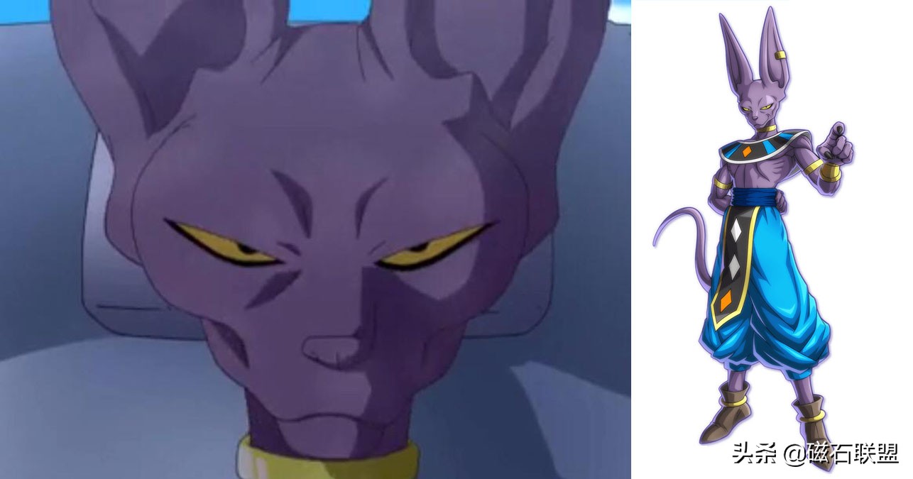 猫毛过敏也能养的猫,适合猫毛过敏的人养的猫咪