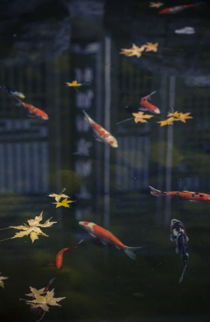 万壑千岩图片,万壑千岩锁翠烟赏析