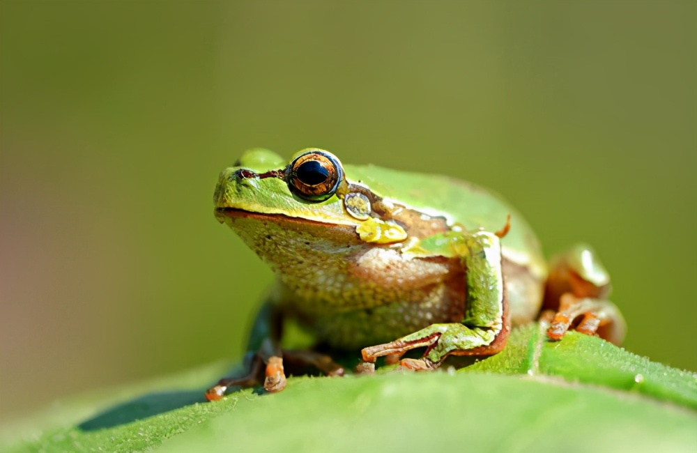 很冷很冷的冷知识故事,很冷很冷的冷知识一年级