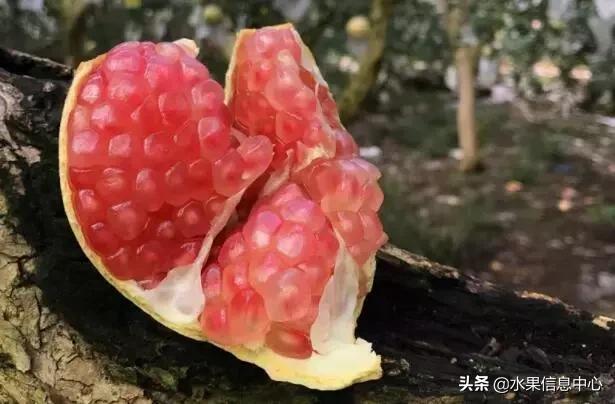 中国水果大全,中国水果大全图片和名字