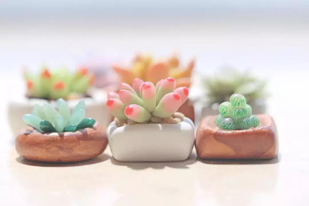 欧森悦光森林营地,欧森黄山国际夏令营有什么玩的