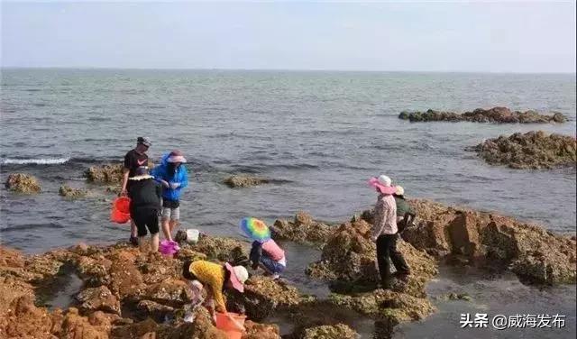 威海端午节去哪里旅游最合适,威海端午