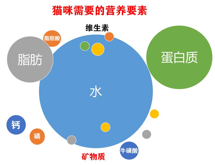 自制猫饭不重样,自制猫饭很难吗