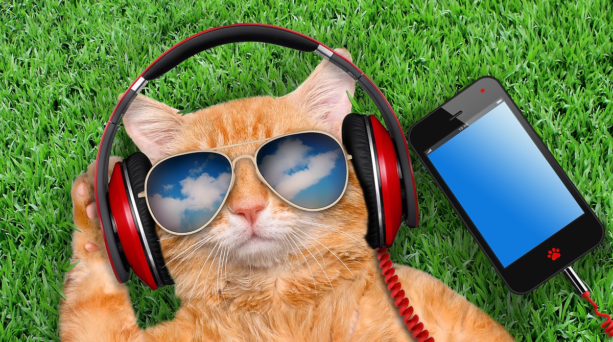 马思纯录制现场焦虑发作,马思纯吃药控制情绪视频