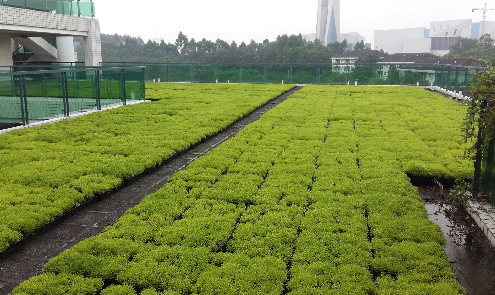 顶楼太热怎么做简易隔热,顶楼装修如何避免过热漏水