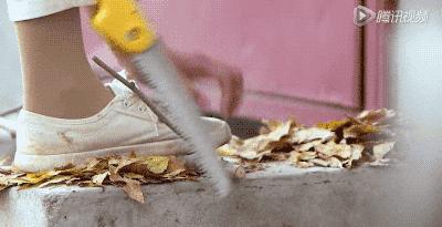 她31岁放弃北漂高薪，回归森林“捡垃圾”，用树叶打造出人间仙境