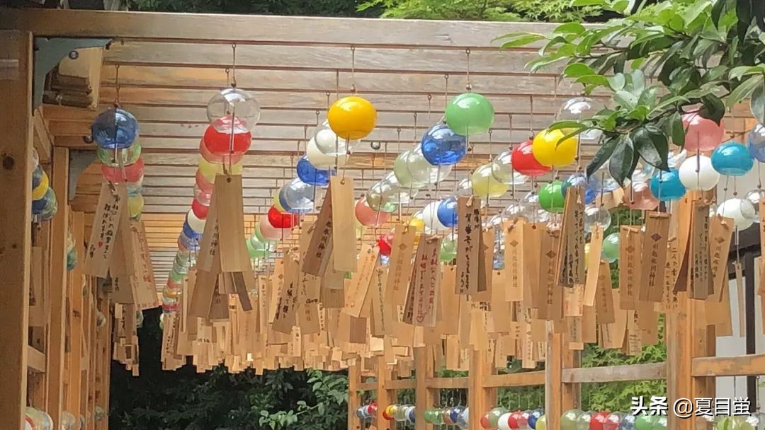 日本旅游带什么礼物给爸妈,日本旅游带什么礼物比较好一点